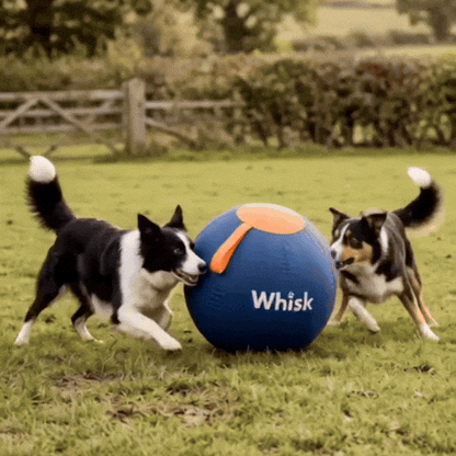 The Whisk Giant Play Ball