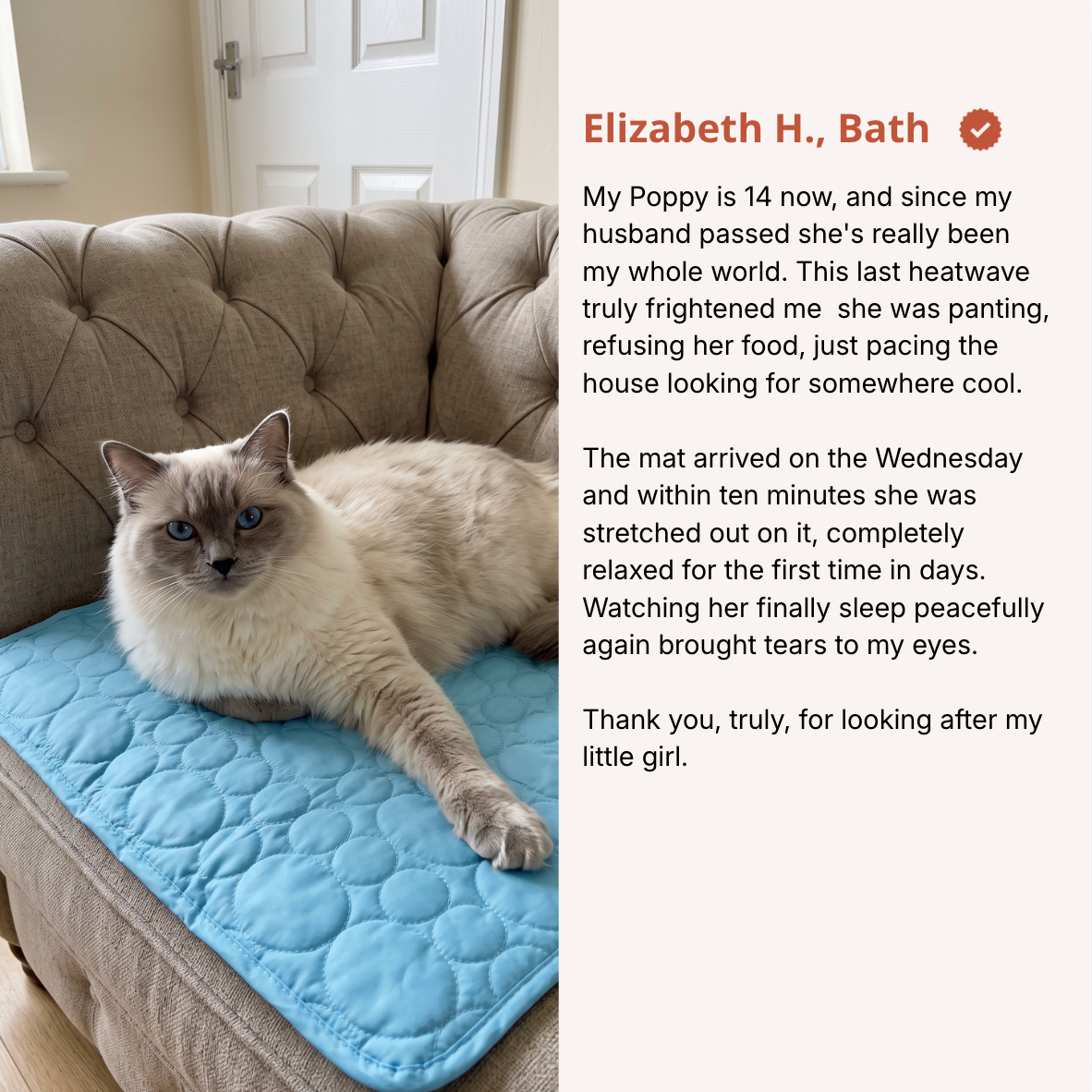 Whisk Cooling Cat Mat
