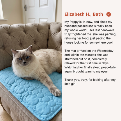 Whisk Cooling Cat Mat