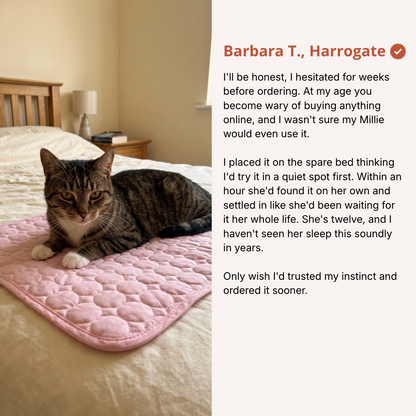 Whisk Cooling Cat Mat