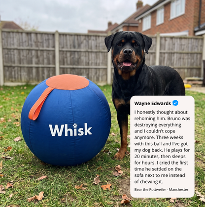 The Whisk Giant Play Ball