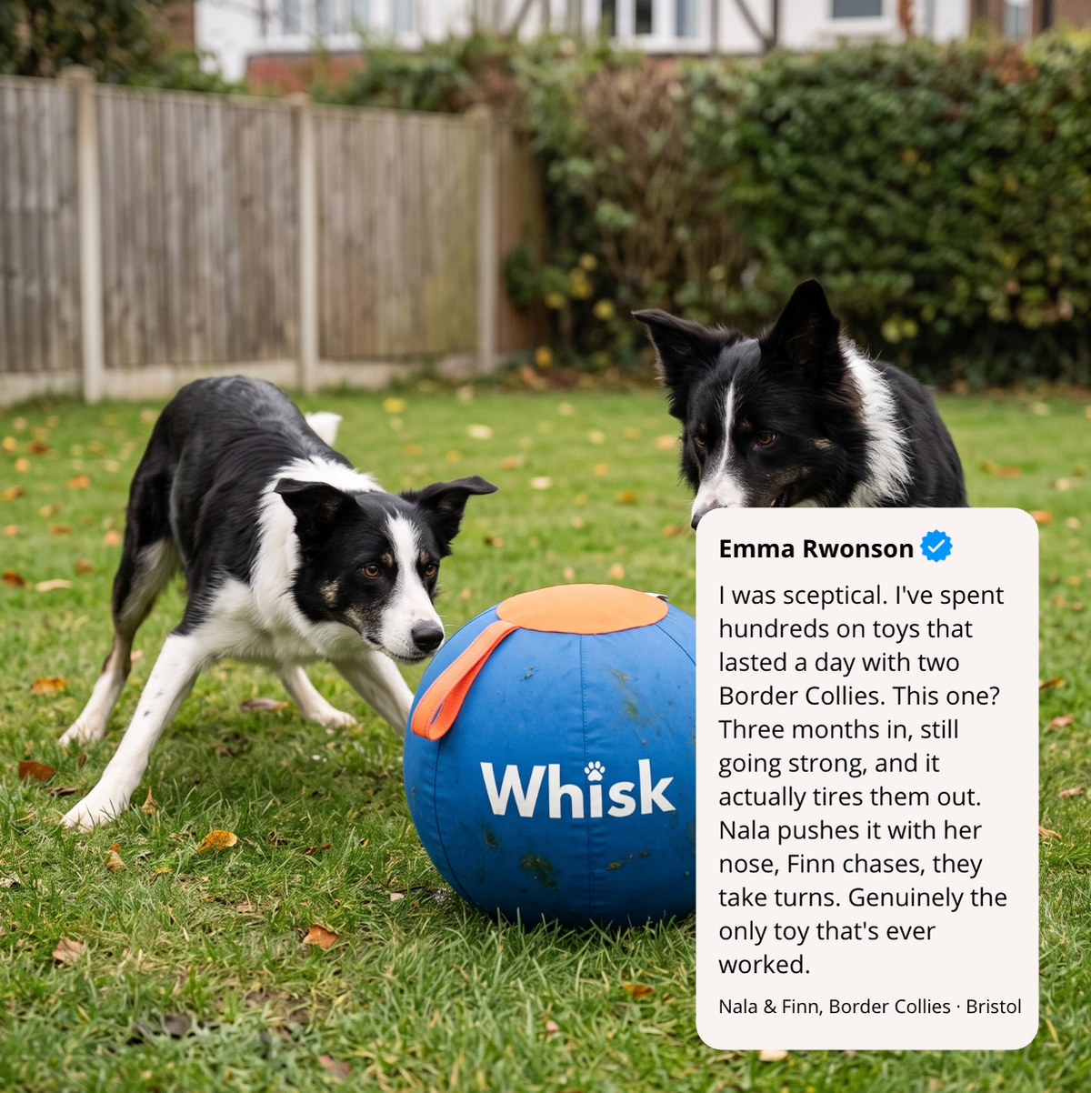 The Whisk Giant Play Ball