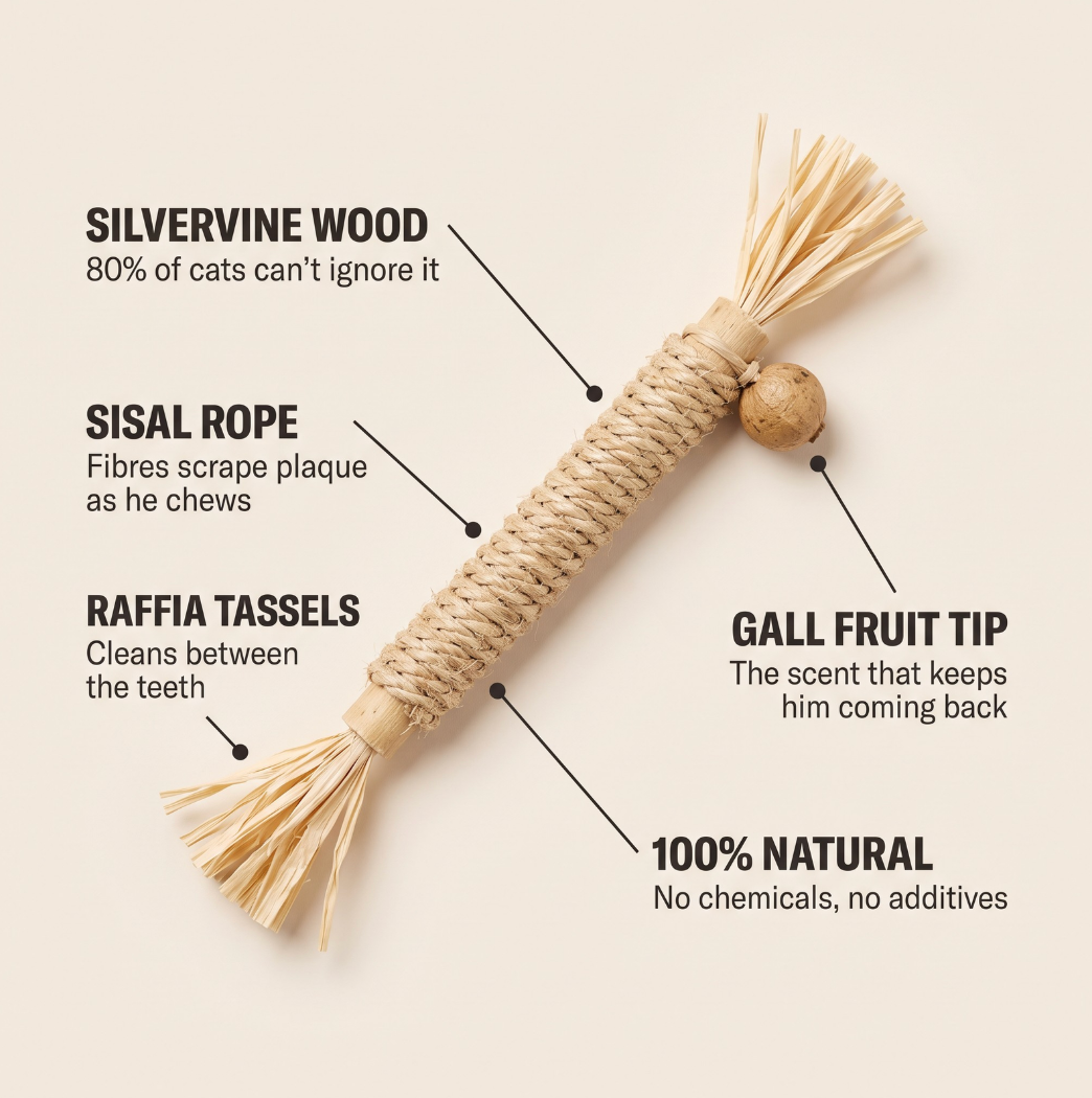 Whisk Silvervine Dental Sticks