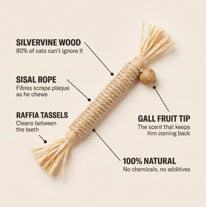 Whisk Silvervine Dental Sticks