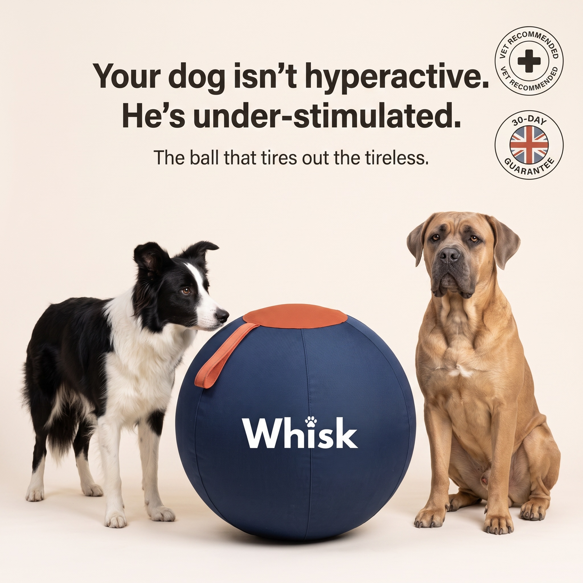 The Whisk Giant Play Ball