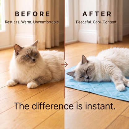Whisk Cooling Cat Mat