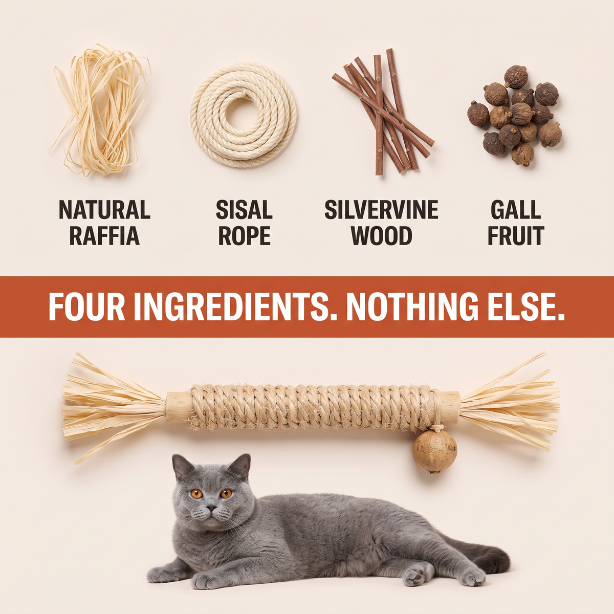 Whisk Silvervine Dental Sticks