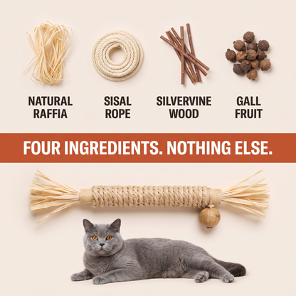 Whisk Silvervine Dental Sticks