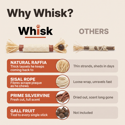 Whisk Silvervine Dental Sticks